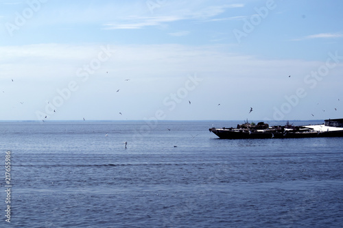 Beautiful picturesque seascape with old half-submerged barge and a flock of seagulls around