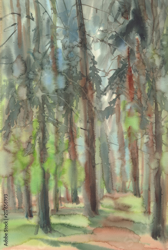Pine trees in the forest watercolor landscape.