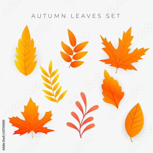 set of orange autumn leaves