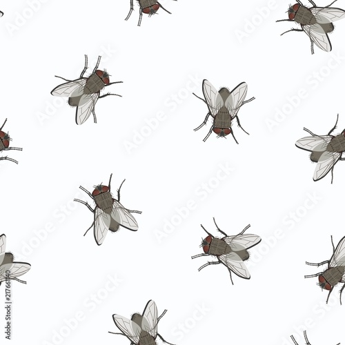 Seamless pattern with image of flies. Vector illustration © alevanda