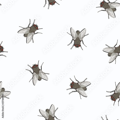 Seamless pattern with image of flies. Vector illustration
