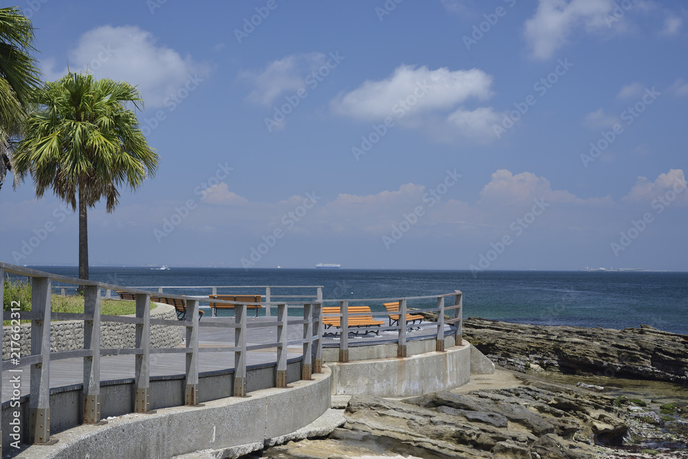 Fototapeta premium 海岸