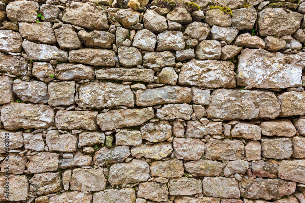Beautiful and old stone wall with moss and vegetation (moss, ferns, grass) facing north Beautiful and old stone wall with moss and vegetation (moss, ferns, grass) facing north