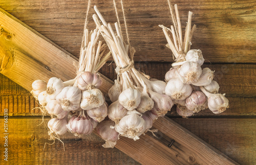 Bundles of fresh garlic dried on vintage wooden wall photo