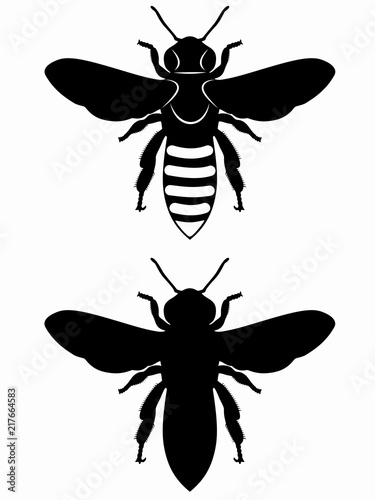 silhouette of bee , vector draw