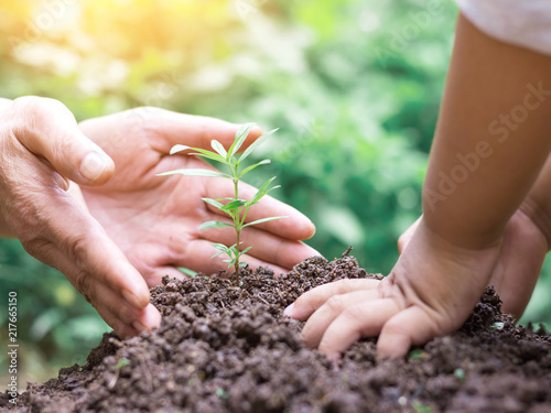 Kid and mother hands planting young tree on the black soil,save world concept photo