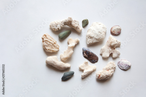 Heap of Red sea stones and shells on white background from a high angle view