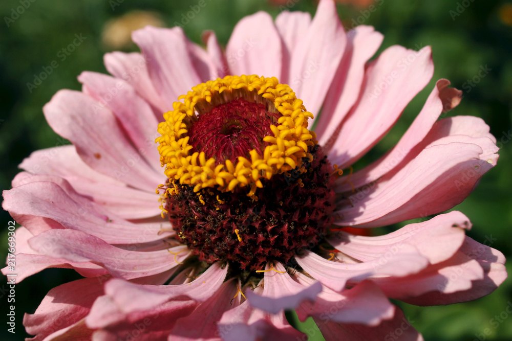 Beginning of spring begins with this process - floweting Beginning of spring begins with this process - floweting
