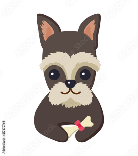 Dog Poster and Pet with Bone Vector Illustration