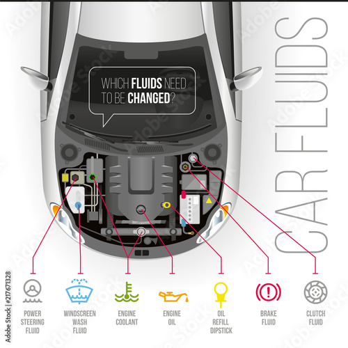 Car Fluids/Which fluids need to be changed under the hood of the car?