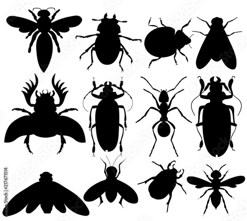  set of insects, beetles, flies, silhouette © zolotons