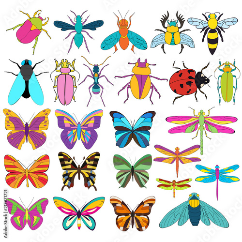set of insects character, ladybug, beetle, ant,
