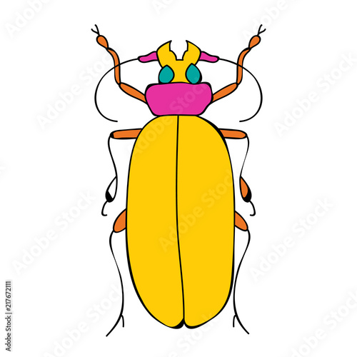  insect beetle child