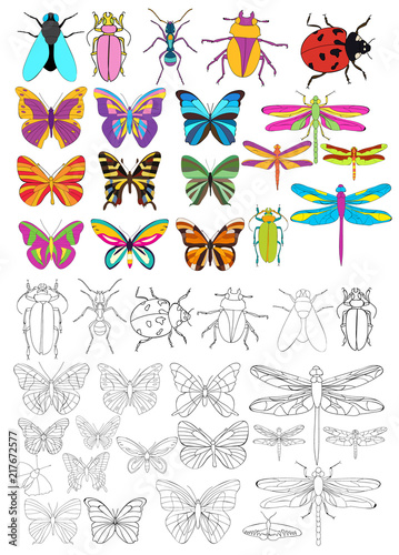 isolated, insects set, book coloring pages © zolotons