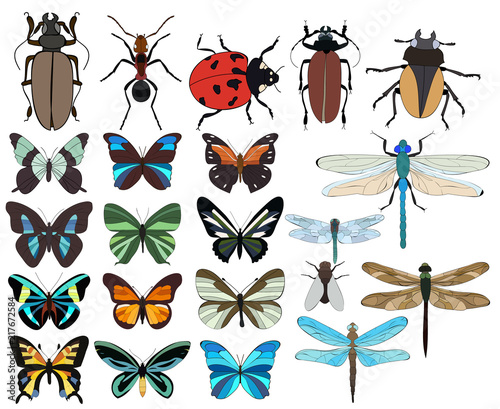 vector, isolated, insects set