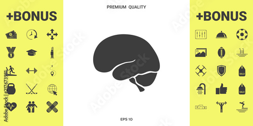 Human brain icon