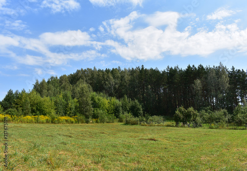 Landscape field in the background of the forest © Aksana
