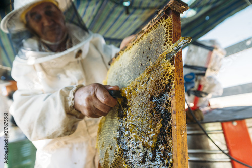 Beekeeper working collect honey