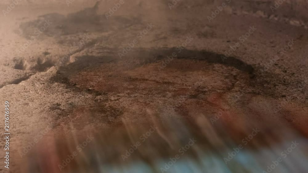 Neapolitan pizza is cooking in a incandescent wood oven Neapolitan pizza is cooking in a incandescent wood oven