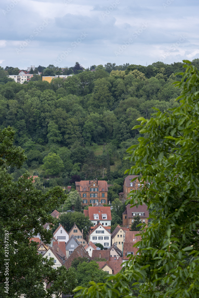German houses hidden in a forest German houses hidden in a forest