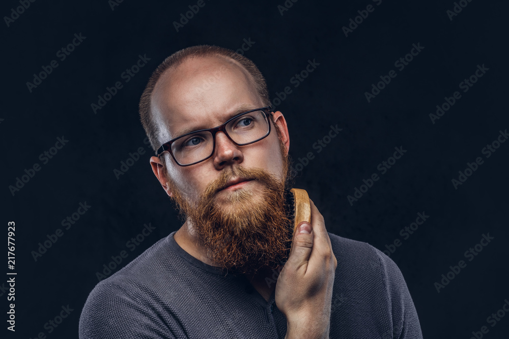 Fototapeta premium Close up portrait of a redhead bearded male wearing glasses dressed in a gray t-shirt, cares about his beard using a beard brush. Isolated on dark textured background.