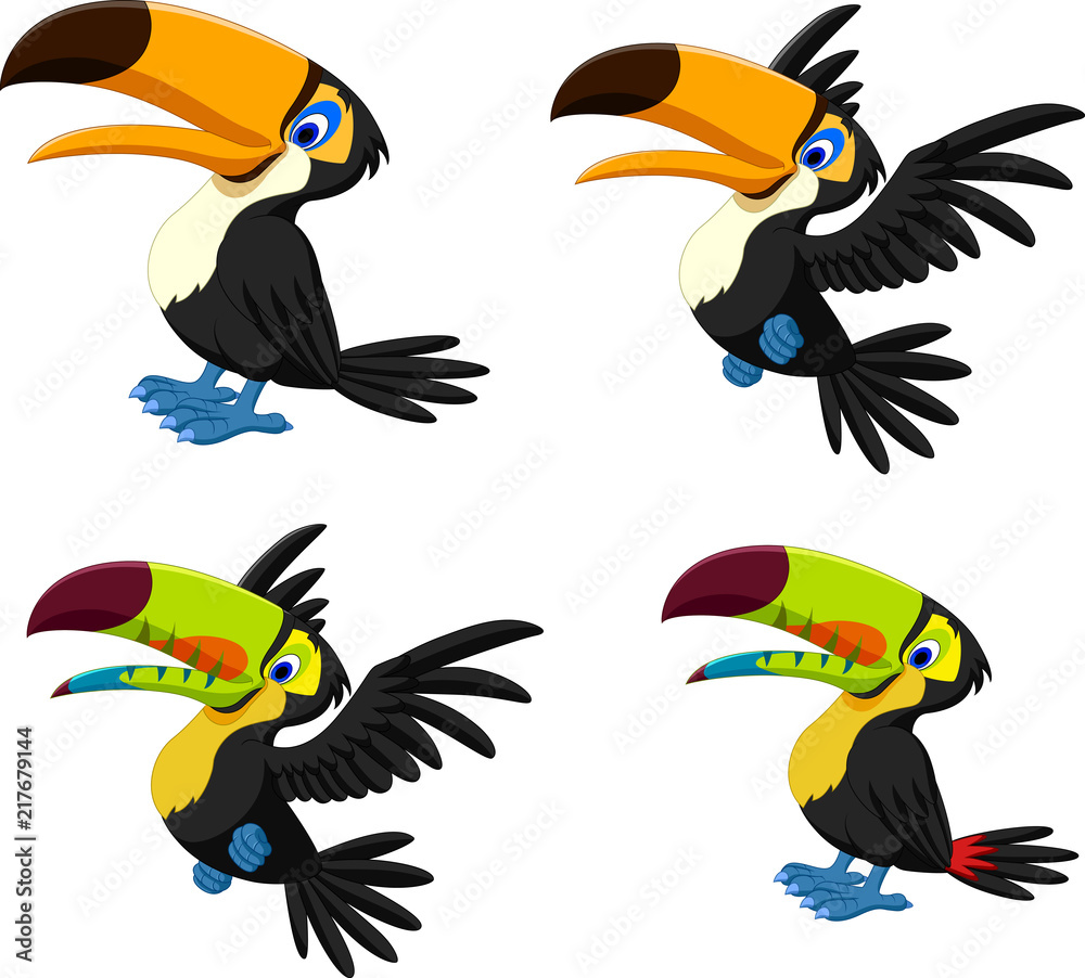 Obraz premium Cartoon toucan collection set