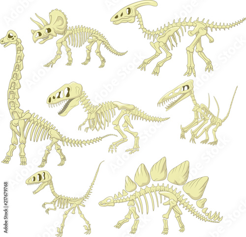 Cartoon dinosaurs skeleton collection set