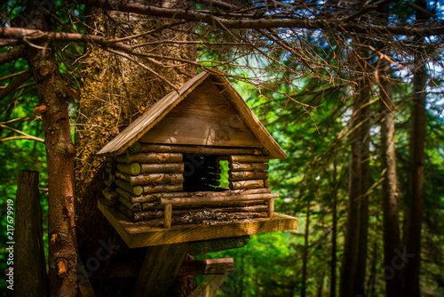 Wooden feeder for birds, in green forest © kovop58