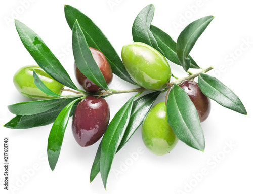 Olive branch with olive berries isolated on white background.