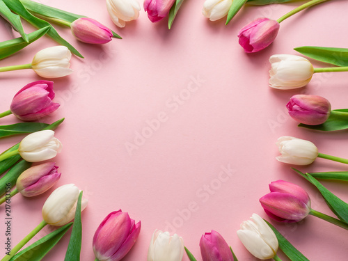 White and pink tulips on lightpink background.