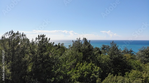 View of the sea and trees.