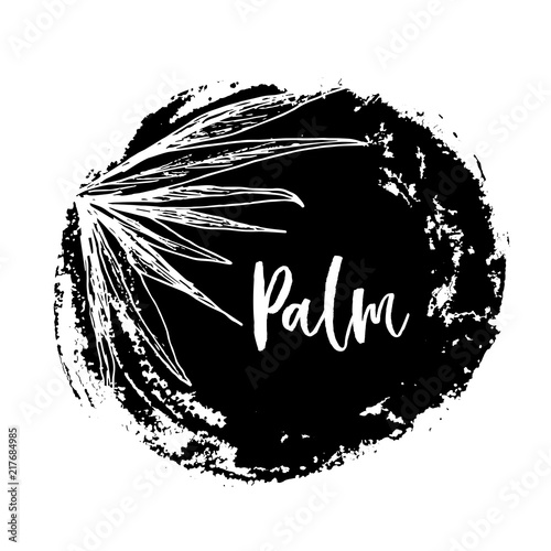 Isolated coconut or queen palm tree with leaves. Beach and rainforest, desert coco flora. Foliage of subtropical fern. Green palmae or jungle arecaceae. Island climate,botany, environment theme