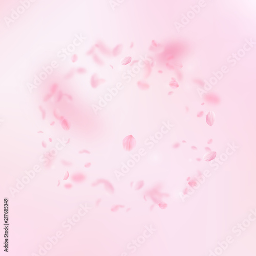 Sakura petals falling down. Romantic pink flowers frame. Flying petals on pink square background. Lo