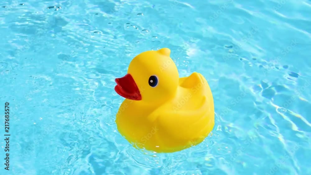 A yellow rubber duck can drift relaxed on the sparkling and crystal-clear water of a pool in the summer light A yellow rubber duck can drift relaxed on the sparkling and crystal-clear water of a pool in the summer light