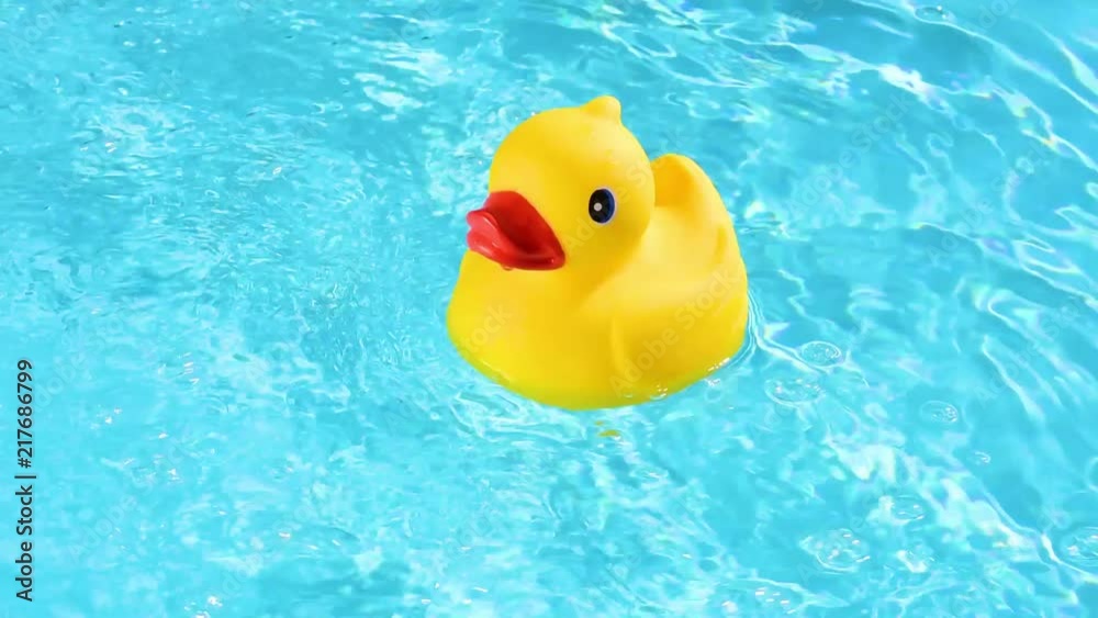 A yellow rubber duck can drift relaxed on the sparkling and crystal-clear water of a pool in the summer light