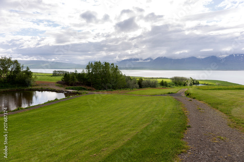 Path across the meadow to the fjord in Iceland