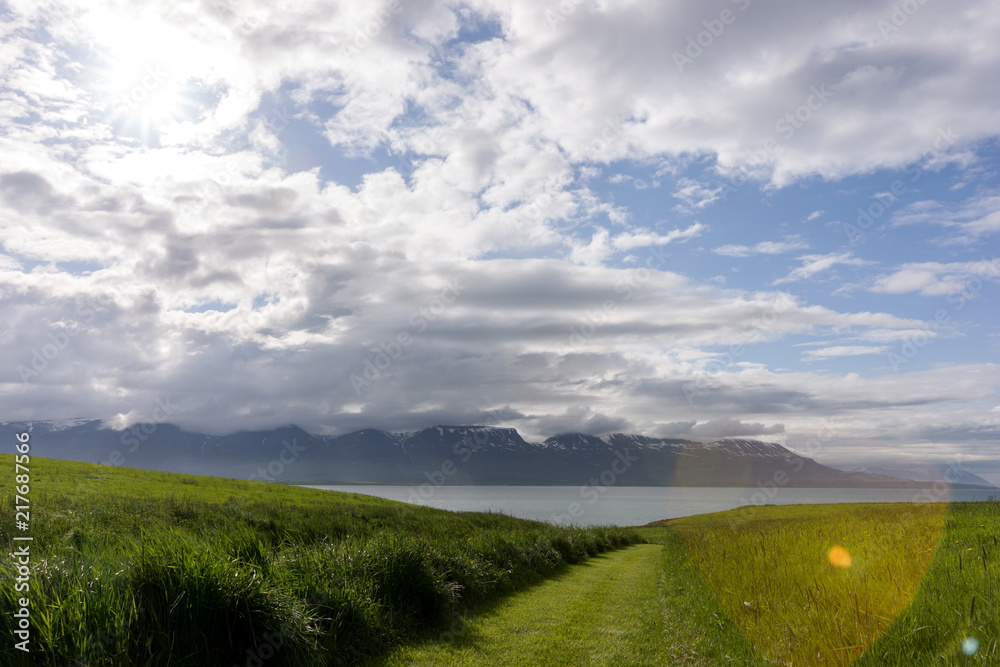 Obraz premium Path across the meadow to the fjord in Iceland