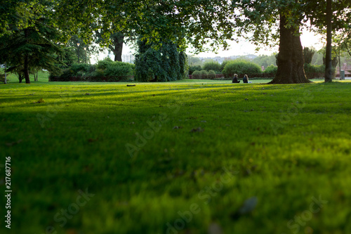 Fototapeta Naklejka Na Ścianę i Meble -  Battersea Park