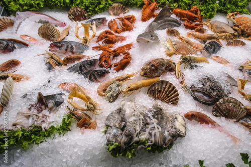  fish on a show window in a shop