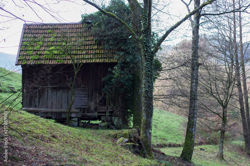 Wooden hay huts or cabins are used for storing hay and food for the animals during the hard winter time in the Black Forest and are placed every 100 meters in that area near Baiersbronn