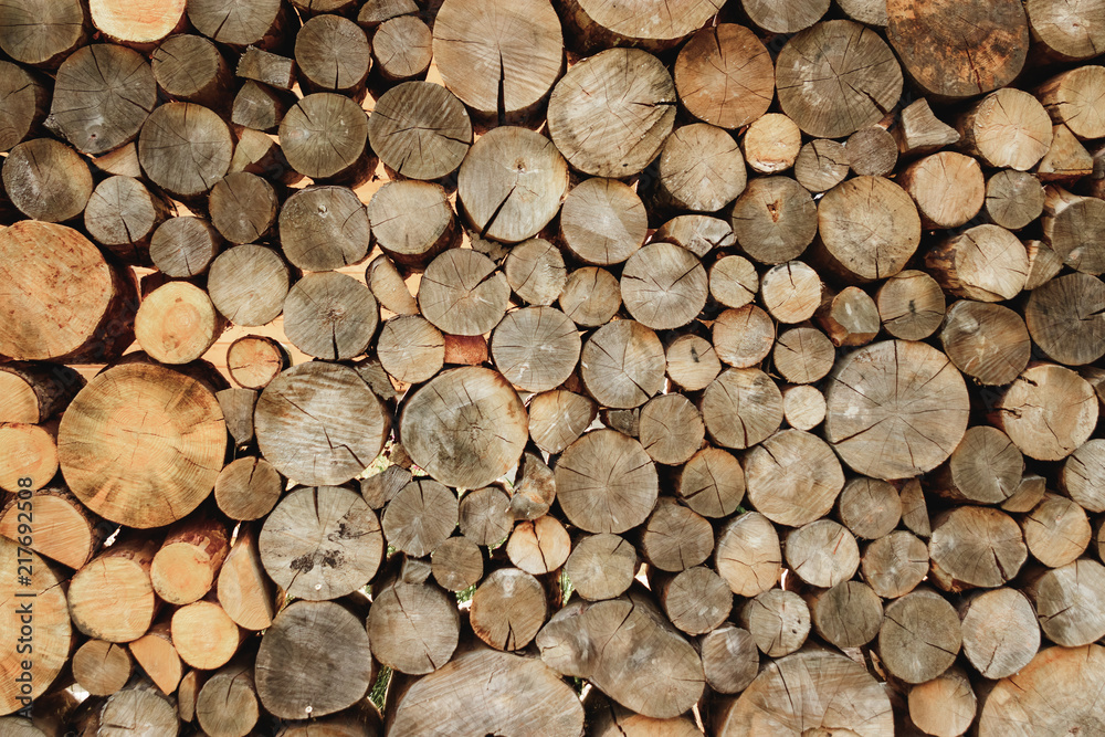 Big wall of stacked wood logs showing natural discoloration Big wall of stacked wood logs showing natural discoloration