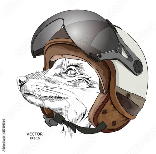 Image Portrait fox in motorcycle helmet. Vector illustration.