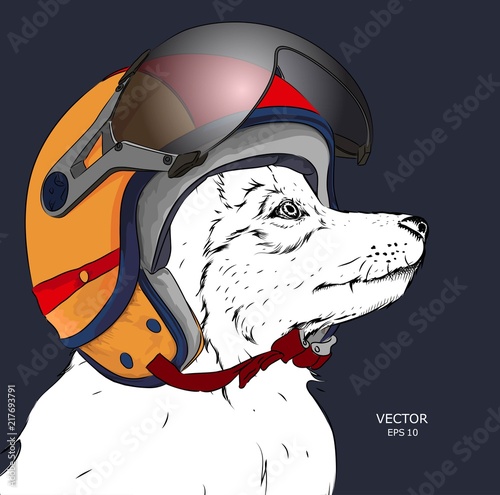 Image Portrait dog in motorcycle helmet. Vector illustration.