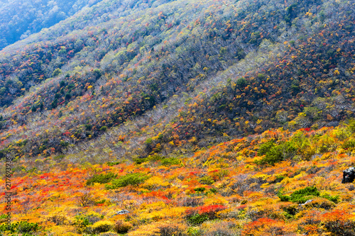 那須岳の紅葉 2 © T_kosumi