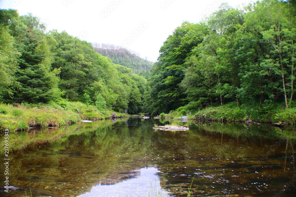 Nature Landscape Background