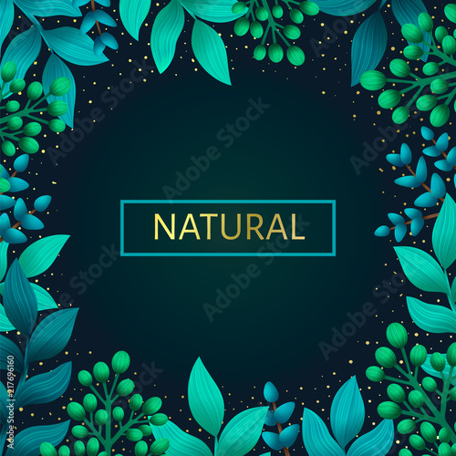 Herbal pre-made frame composition. Natural products concept. Summer wild herb...