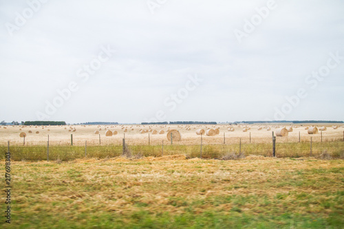 Bales of Hay Farmland © Dave