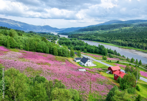 Summer aerial panorama landscape of Duved valley in Sweden