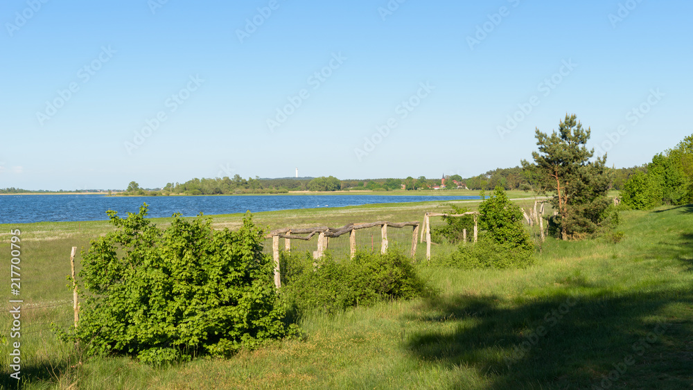Vogelschutzgebiet am Gülper See im Naturpark Westhavelland mit Blick auf den Gollenberg