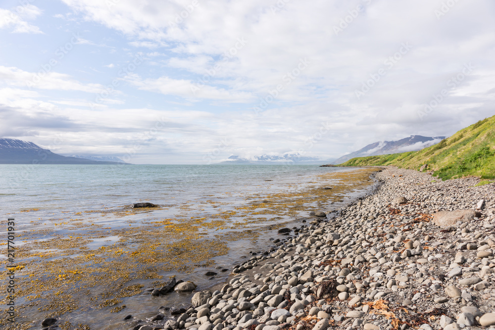 On the shore of the fjord in Iceland